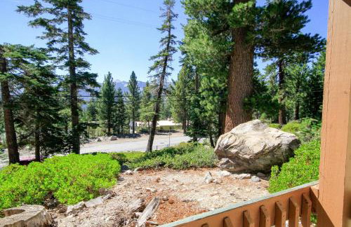 Discovery 4 113 - Photo 4