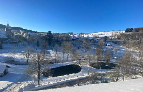 Naturquartier am Osterkopf Ferienwohnung Willingen Usseln - Foto 13
