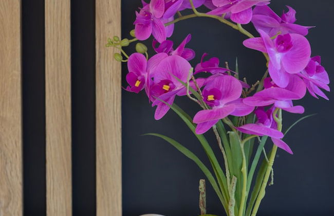 Holiday Houses Muschel by Renters - Photo 77