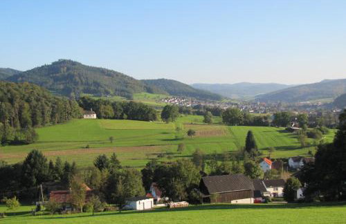 Alte Schmiede - Foto 10