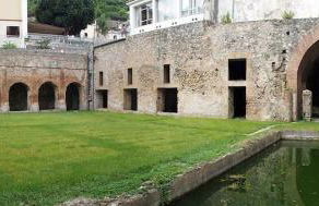 L'albero della vita - Photo 27