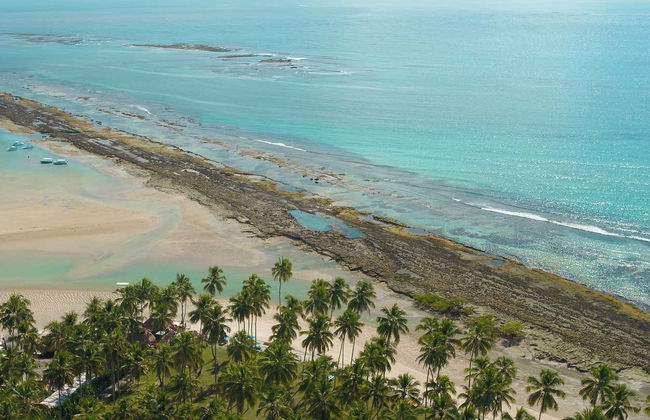 Escursione a Praia dos Carneiros - Foto 5