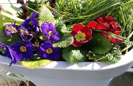 Maison familiale à 10 min du Mont Saint Michel - Foto 19