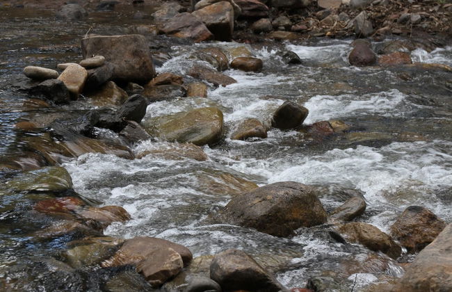 NEW 3bed 2bath With Creek and Open Spaces - Foto 21