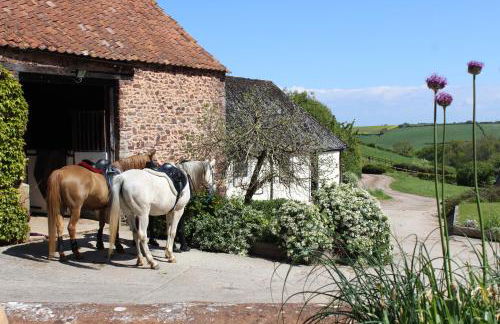 Pardlestone Farm – Self-Catering Cottages - Foto 9