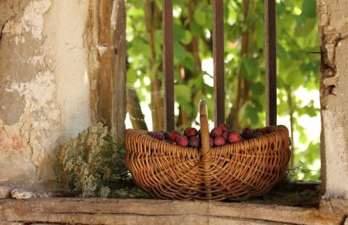 La ferme de Berlioz - Foto 50