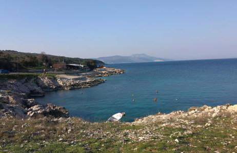 4 Roses Apartment - Photo 49