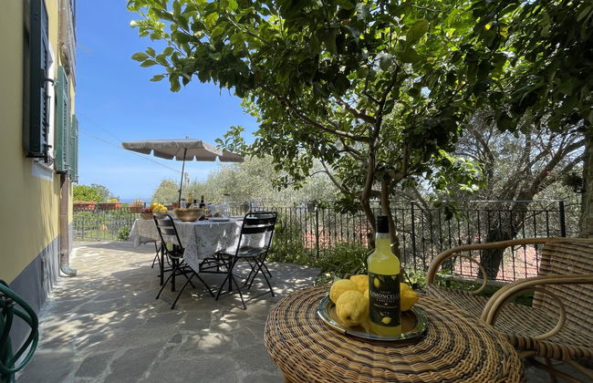2 bedroom Apartment in Cipressa with garden - Photo 2