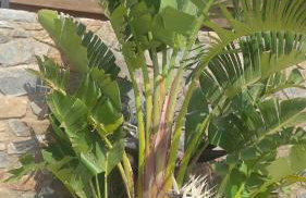 VILLA ASTERAKI private pool, magic sunsets, near Elafonisi - Foto 32