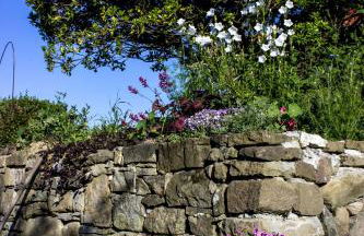 Villa Porcigliano Olive Grove - Foto 58