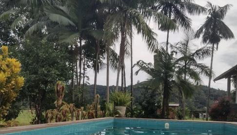 Cantinho da nona Nova Trento SC - Foto 4