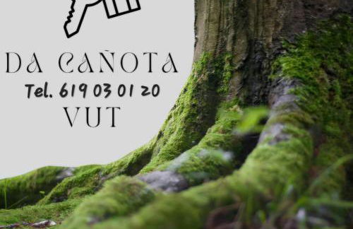 Da Cañota, Hío-Aldán 200 m playa - Foto 2