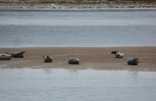 3 St Gilbert Street - Photo 49