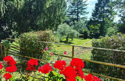 Il Bosco Guest House Subiaco - Foto 29