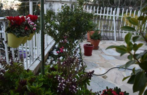 Panorama Γλυκά Νερά - Athens - Foto 12