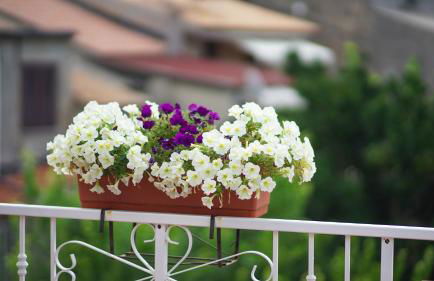 il Castello accomodation tropea - Foto 26