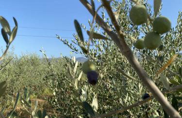 Tenuta degli Ulivi - Dimora Contadina - Foto 65