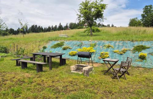 Dom wakacyjny u Beaty nad Jeziorem Rożnowskim - Foto 30