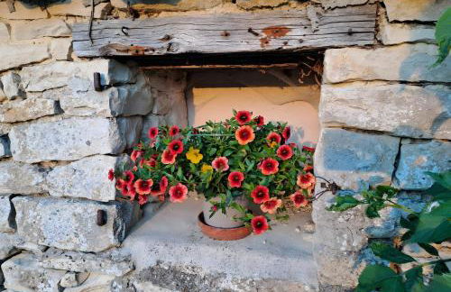 Gite L'Etable - Les Gites Du Moulin - Foto 8