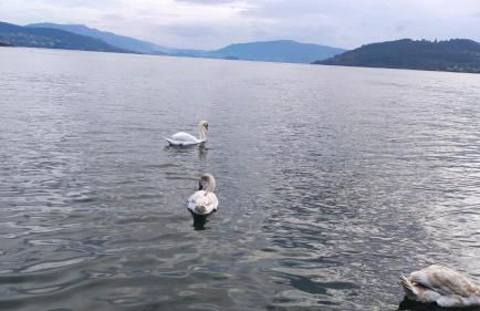 CASA DOS PEIXIÑOS Pontesampaio - Foto 57