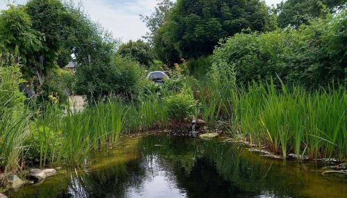 Ferienidyll Niesgrau - Foto 5, Garden