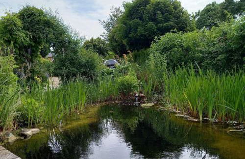 Ferienidyll Niesgrau - Foto 5