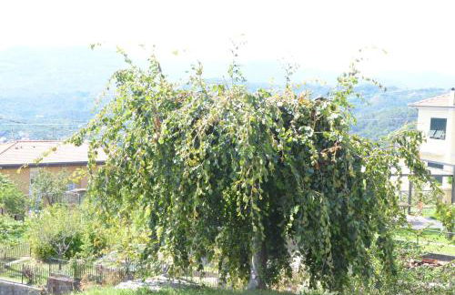 La casa con vista di Emma - Photo 38