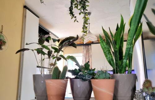 Lamia - Premium apartment - Photo 10