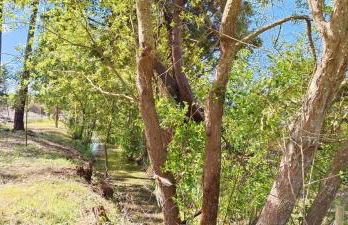 Casa da Mata - Foto 67