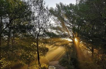 La Cueva de Miravet - villa de lujo en la cima de la montaña con vistas al mar - Photo 64