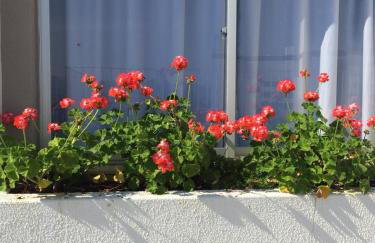 Apto em ótima localização! - Photo 7