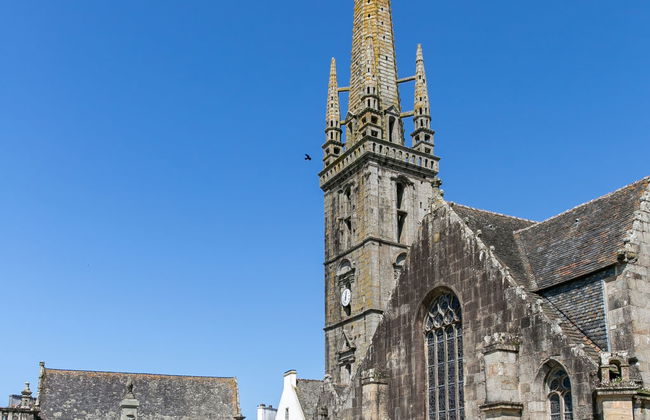 Blaue Hortensie - Foto 23