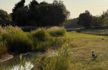 Barn Cottage - Foto 21