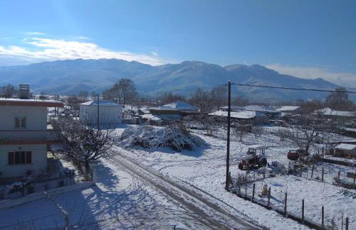 Fofi's Place - Photo 25