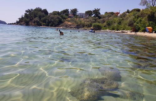 Stella's Garden - Foto 44