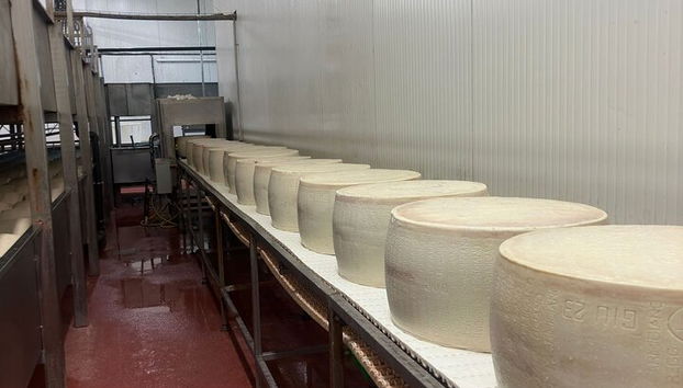 Ferrari, Parmesan and Balsamic Day Tour from Bologna - Photo 3