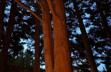 Tawny Lodge, Evesham Nr Cotswolds - Foto 57