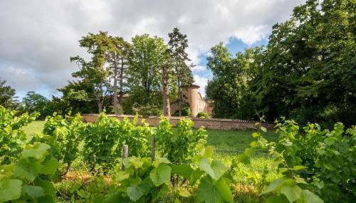 Château de Champ-renard - Foto 5