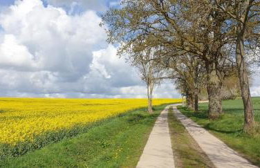 Ferienwohnung "Backsteinhaus Starkow" - Foto 13