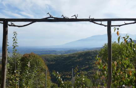 Studio in Elatochori - O Elato - Foto 13