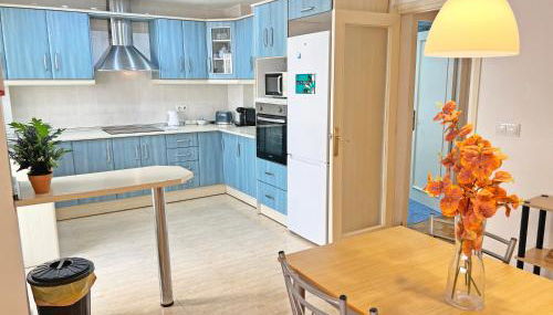 Encantador Muy Céntrico Terraza y AC - Foto 4, stove, dishwasher, minibar