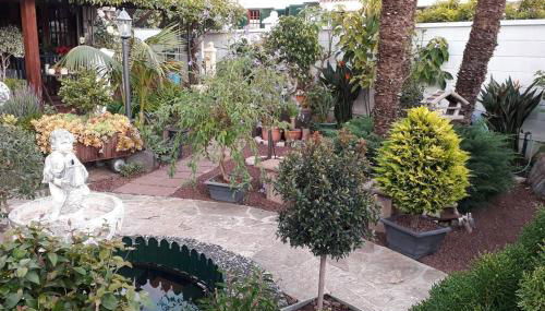 Apartamento tranquilo en una casa con jardín - Foto 3