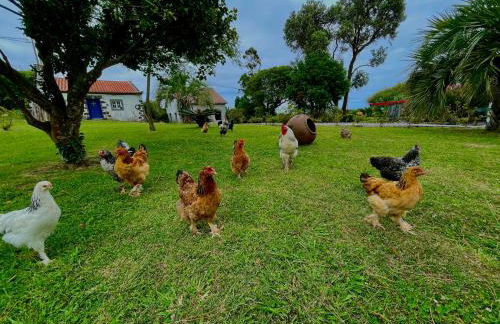 Solar Pontes - Photo 38