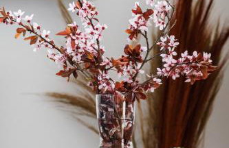 Sea Resort Kropli Baltyku Apartment with Terrace by Noclegi Renters - Foto 5