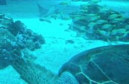 Proche Nausicaa, gare & remparts, spacieuse maison 3 chambres, cour privée, parking gratuit & adaptée aux vélos - Foto 9