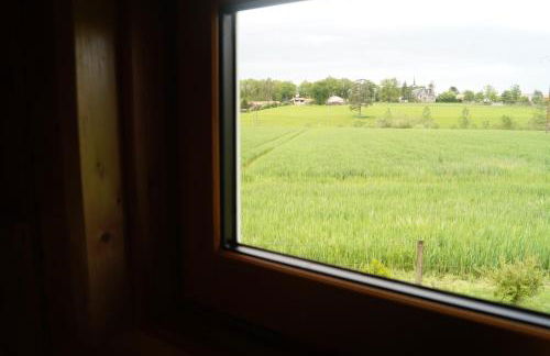 Bain Nordique SPA - Tiny house à la campagne - Photo 17