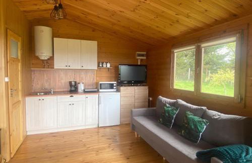 Domek letniskowy Radomice - Foto 9