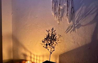 Mouradia Moura - Foto 31