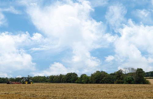 Len Cottage - Photo 30