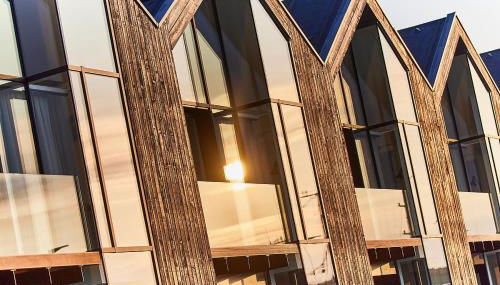 Netzschuppen - Foto 2